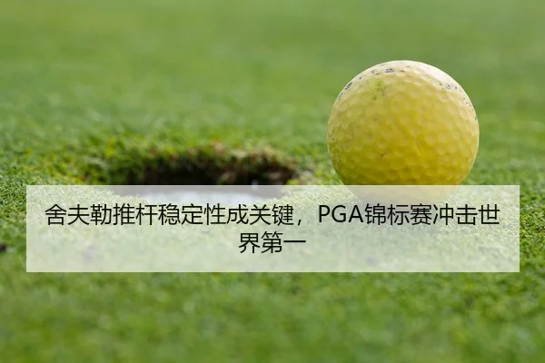 she-fu-lei-tui-gan-wen-ding-xing-cheng-guan-jian-jin-biao-sai-chong-ji-shi-jie-di-yi-2-900.jpg