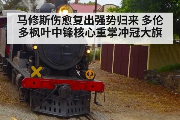 马修斯伤愈复出强势归来 多伦多枫叶中锋核心重掌冲冠大旗