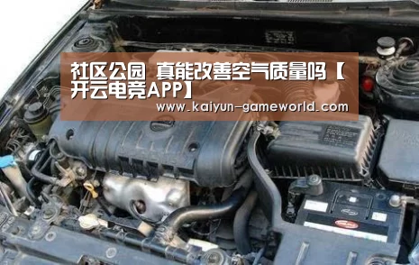 开云APP下载